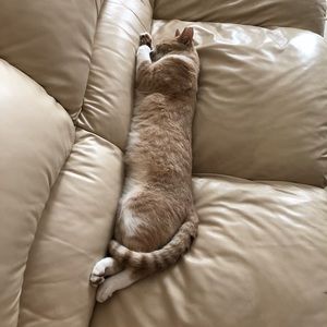 Meet your Posher, Raquel